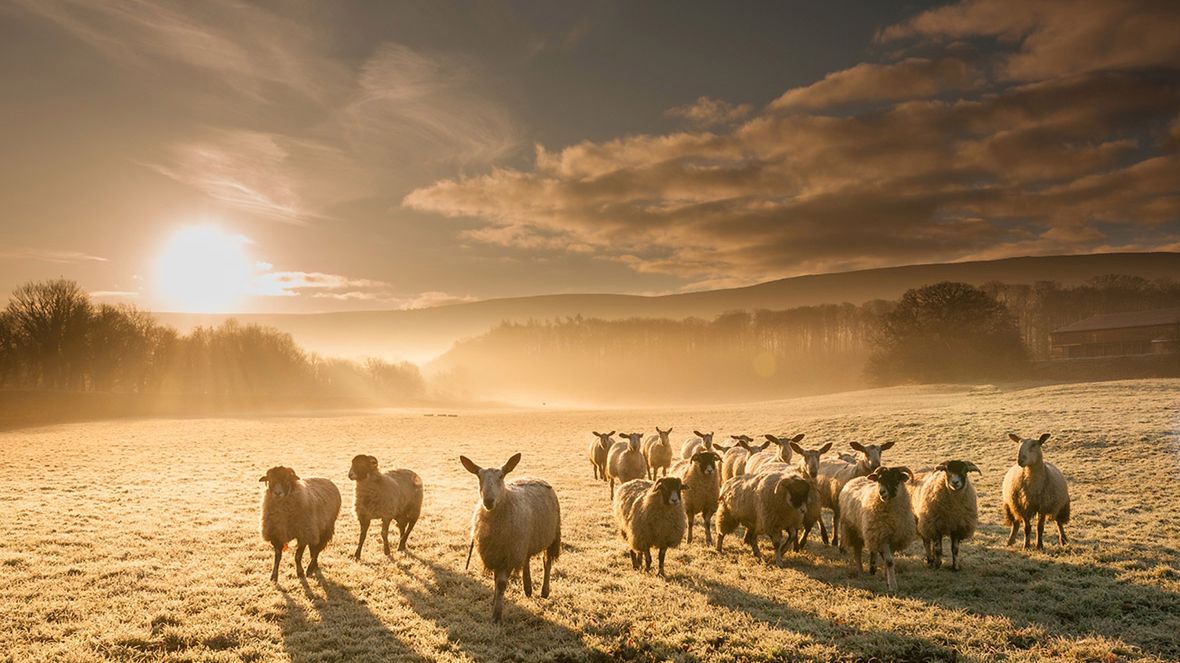 Polak wśród laureatów konkursu Lovers of Light 1