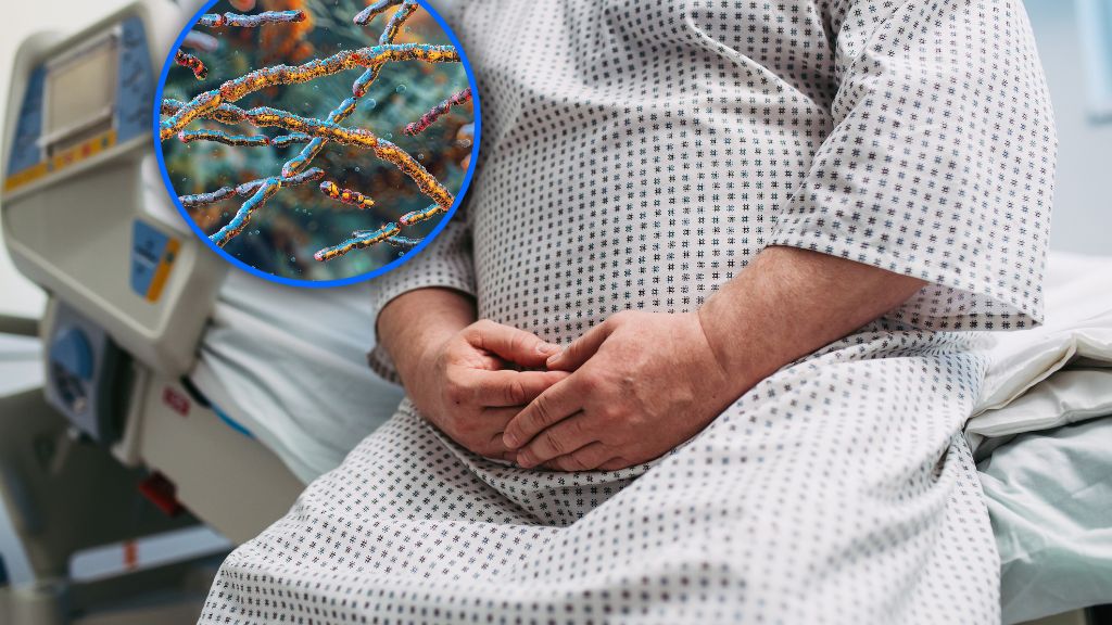 Skoro Turicibacter redukuje otyłość u myszy, czy może pomóc także ludziom?