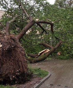 &quot;Armagedon trwa&quot;. Burza sparaliżowała stolicę: zmiany w komunikacji [ZDJĘCIA]