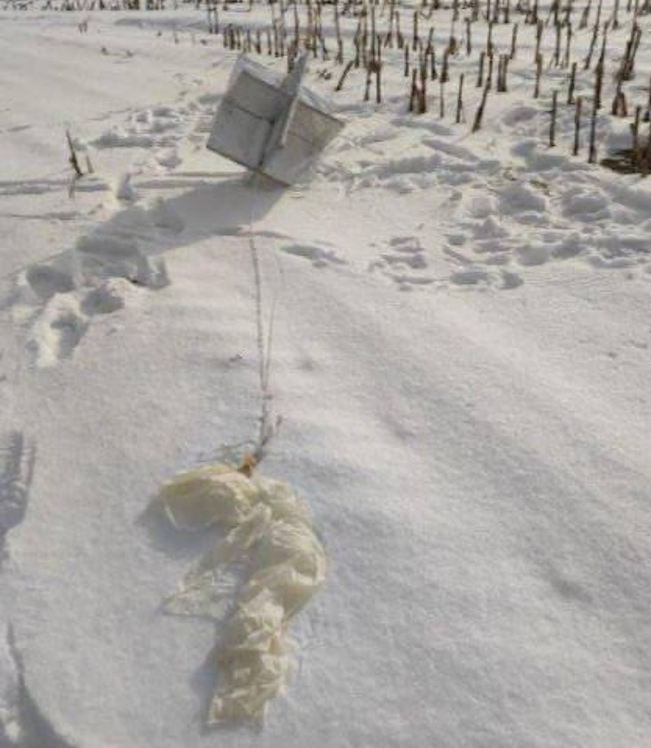 Szczątki balonu zestrzelonego w pobliżu Kijowa - widoczna zniszczona powłoka i odbłyśnik radarowy
