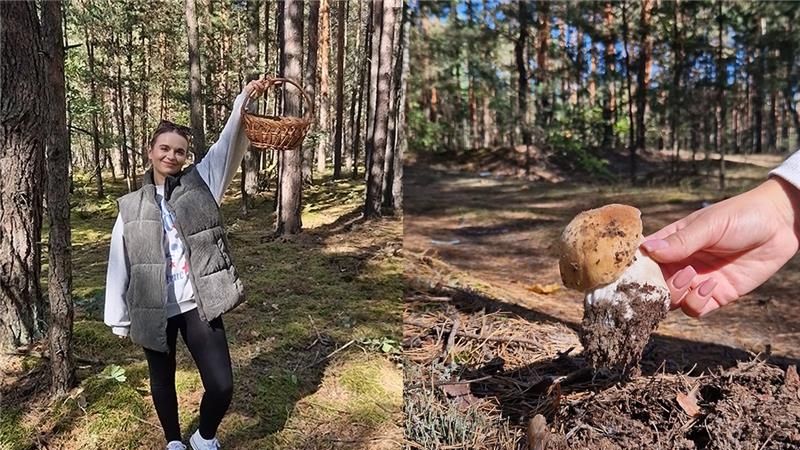 Daria podczas wyprawy do lasu znalazła piękne grzyby