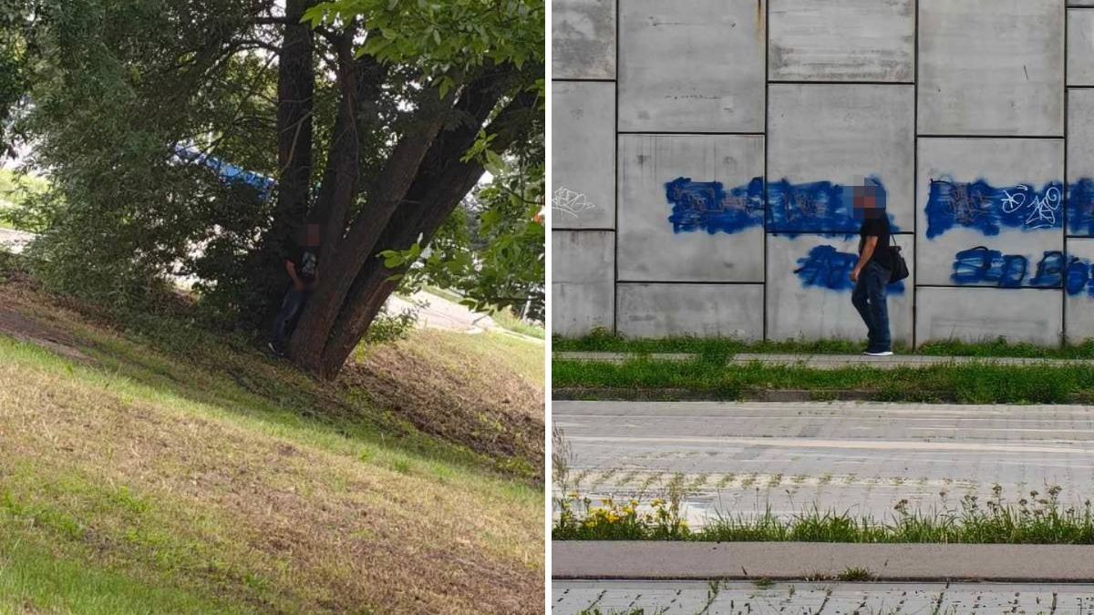 Mężczyzna onanizował się w Parku Ludowym