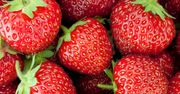 Właściwości zdrowotne truskawek (WIDEO)