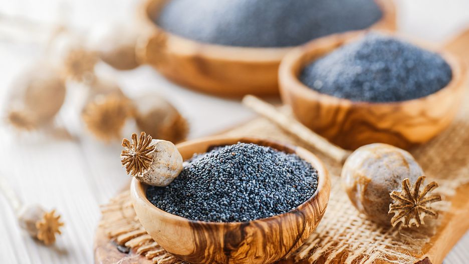 Mak – właściwości prozdrowotne i zastosowanie