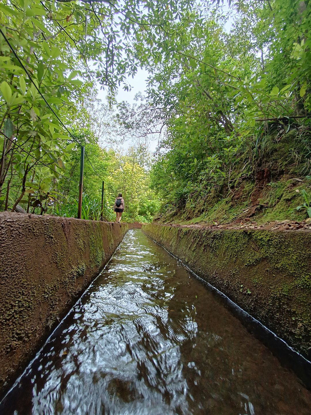 PR 18 Levada do Rei