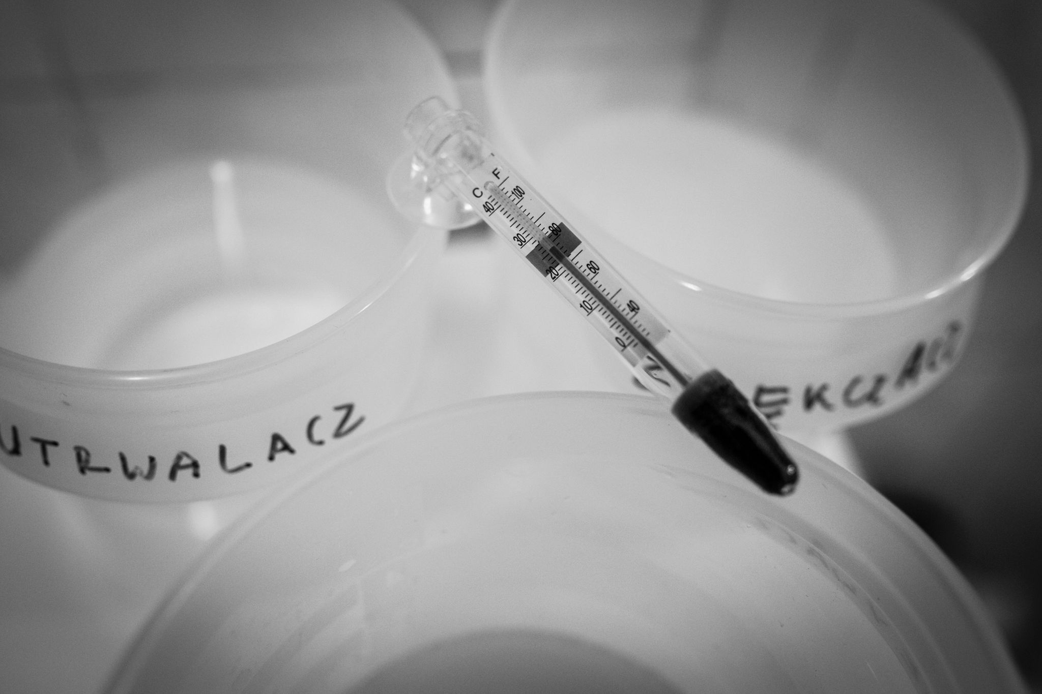 Jak wywołać czarno-biały film fotograficzny? 9