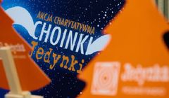 Rusza tegoroczna edycja akcji "Choinki Jedynki"