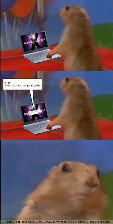 Wielki wakacyjny konkurs HDTVmanii roztrzygnięty 4