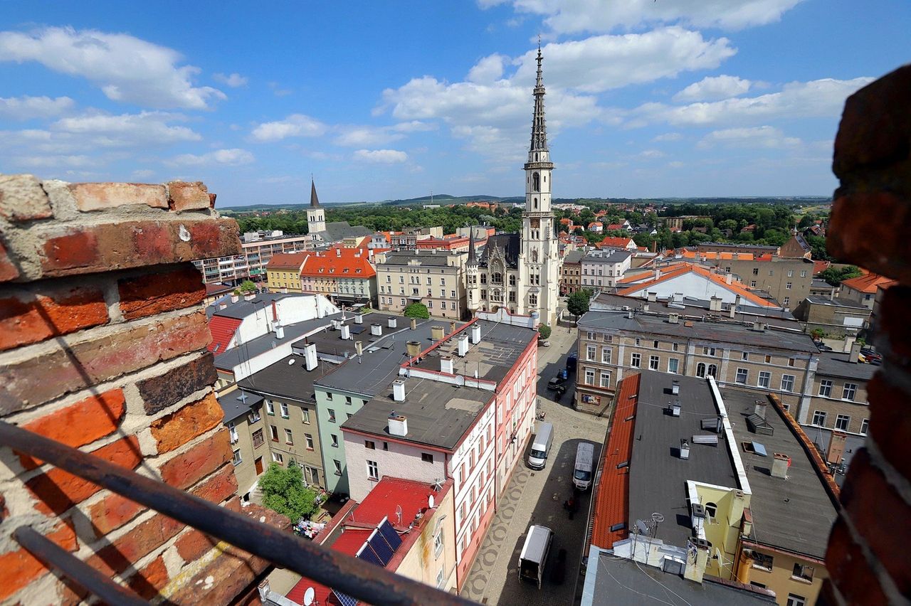 Na Śląsku nie ma bardziej makabrycznej historii: grabarze, zwłoki i zabójczy proszek. Tak powstał horror dziś oklaskiwany w Wenecji