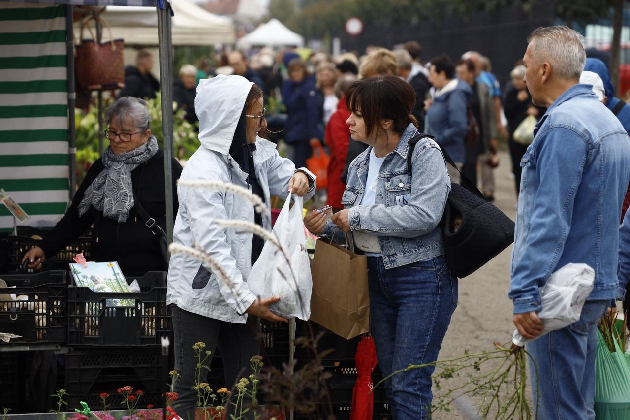 Częstochowa: Festiwal barw i kolorów na Dożynkach Jasnogórskich 2025. Stoiska ogrodnicze pełne inspiracji