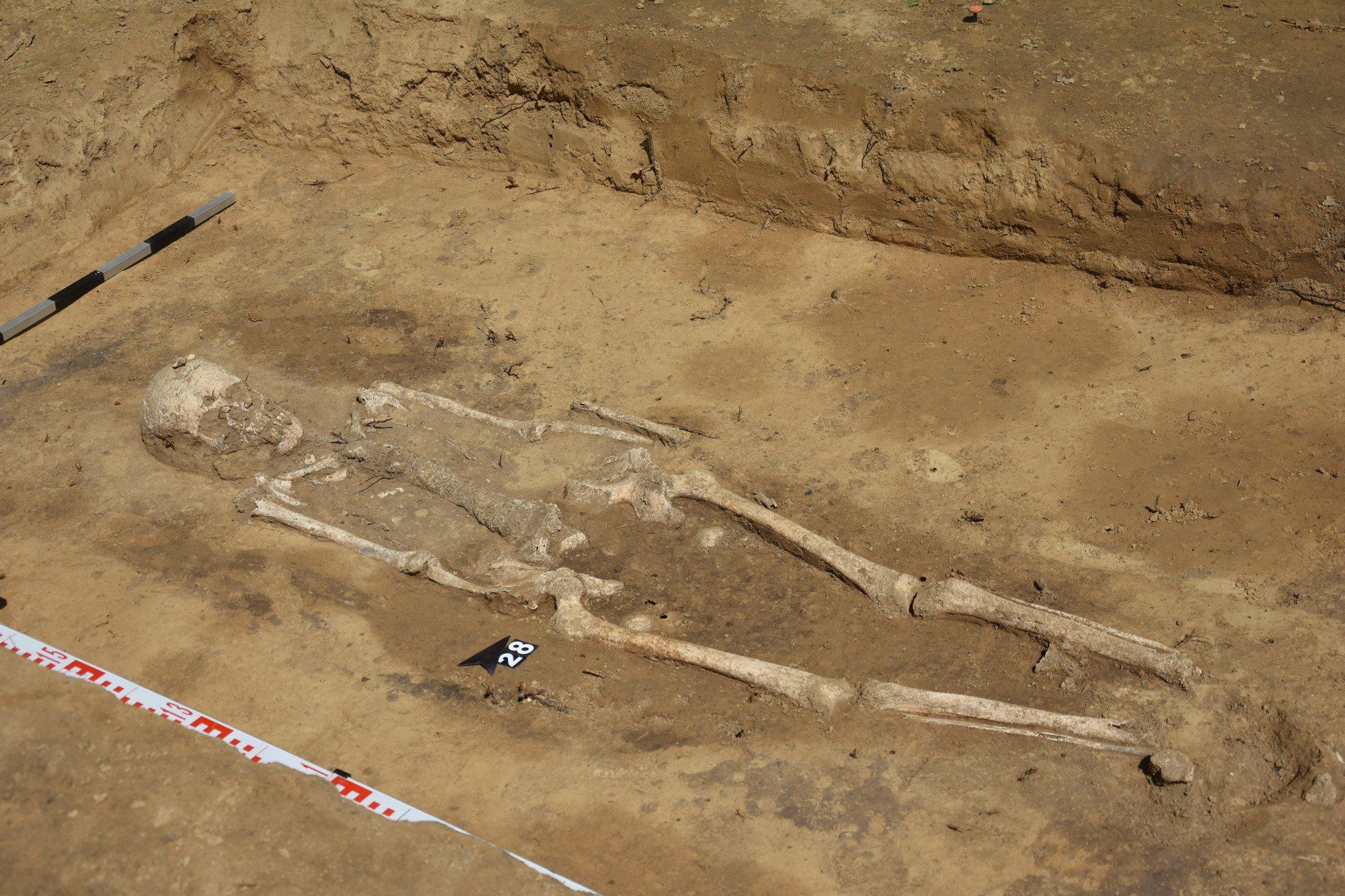 Badania archeologiczne we Wroninie