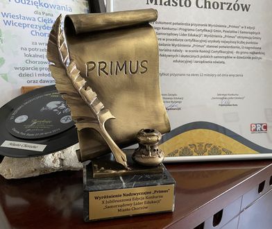 Śląskie. Chorzów i Katowice prymusami. Miasta docenione w dziedzinie edukacji