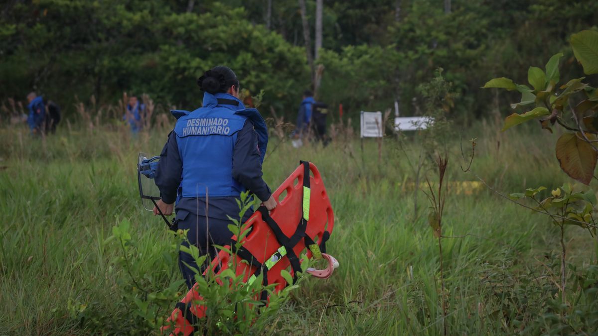 PUERTO RICO, COLOMBIA - FEBRUARY 28: Team of Naidu Benitez, a non-commissioned officer of the National Army became the first woman leading demining operation, are on duty in in Puerto Rico, Caqueta on February 28, 2023. Benitez and her team are in charge of deactivating explosive devices that put people's lives at risk. The work of the soldiers of the Humanitarian Demining Engineers Battalion No. 1, in the municipalities of San Jose de Fragua, El Paujil, La Montanita, Puerto Rico and Florencia, made significant progress in the region of Caqueta, as the deminers managed to clear 60,000 square meters. (Photo by Juancho Torres/Anadolu Agency via Getty Images)