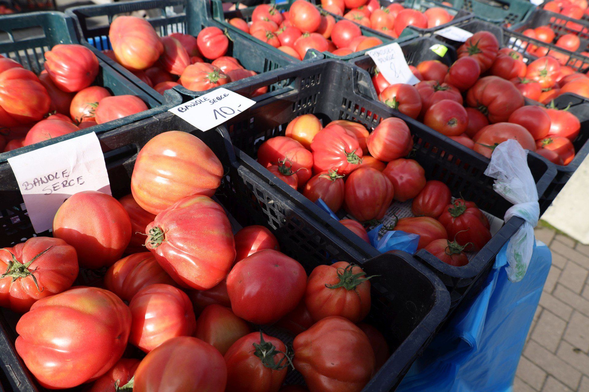 Targowisko miejskie w Szczecinku