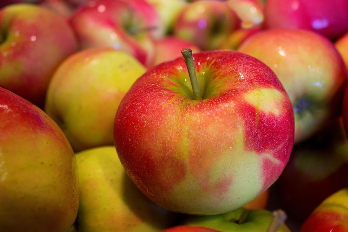 Jabłka należą do grupy najzdrowszych owoców 