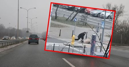 Paraliż w Warszawie. Ludzie leżą na chodnikach, autobusy są opóźnione