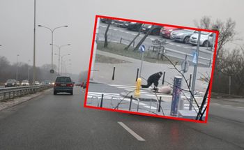 Paraliż w Warszawie. Ludzie upadają na chodniki, autobusy są opóźnione