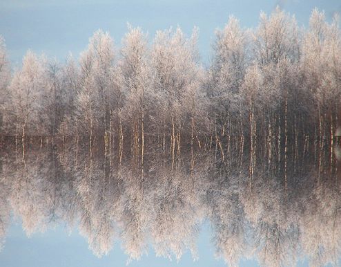 15 inspirujących zimowych fotografii [GALERIA] 13