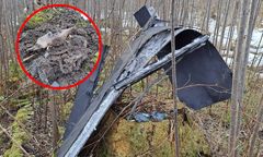 Ukraińskie drony spadły na państwa NATO. Jest wspólne oświadczenie