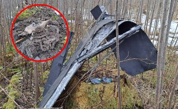 Ukraińskie drony spadły na państwa NATO. Jest wspólne oświadczenie