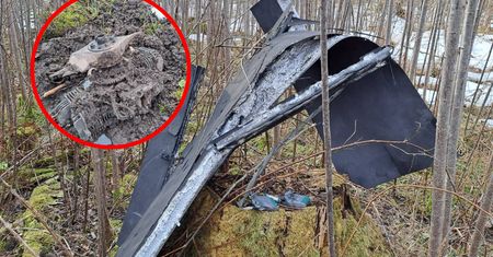 Ukraińskie drony spadły na państwa NATO. Jest wspólne oświadczenie