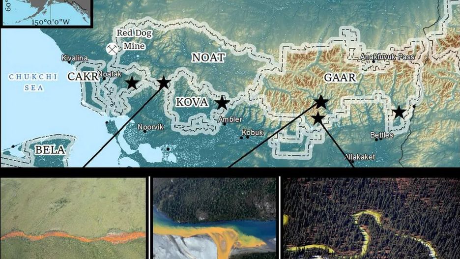 Mapa obserwacji "rdzewiejących" strumieni w parkach Arctic Inventory and Monitoring Network (ARCN) na północy Alaski