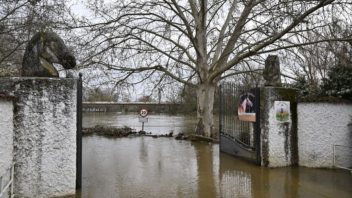 Heavy rain triggers flooding in Spain, red alerts issued in several regions
TOLEDO, SPAIN - MARCH 13: A view of the flooded area in the Escalona district of Toledo, Spain, following heavy rainfall that has affected the country for the past two weeks on March 13, 2025. Continuous downpours have led to red alerts for flooding in Madrid, Castilla-La Mancha, and Andalusia. (Photo by Burak Akbulut/Anadolu via Getty Images)
Anadolu
toledo, march, red alert, spring, escalona, alert, warning, heavy rain, castilla-la mancha, submerged, disaster, flooded, andalusia., raining, downpour