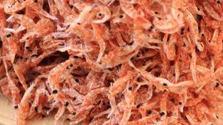 W PRL-u był prawdziwym hitem. Dziś prawie nikt o nim nie pamięta