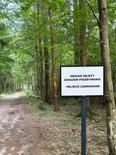 Puszcza Białowieska jest w centrum kryzysu migracyjnego