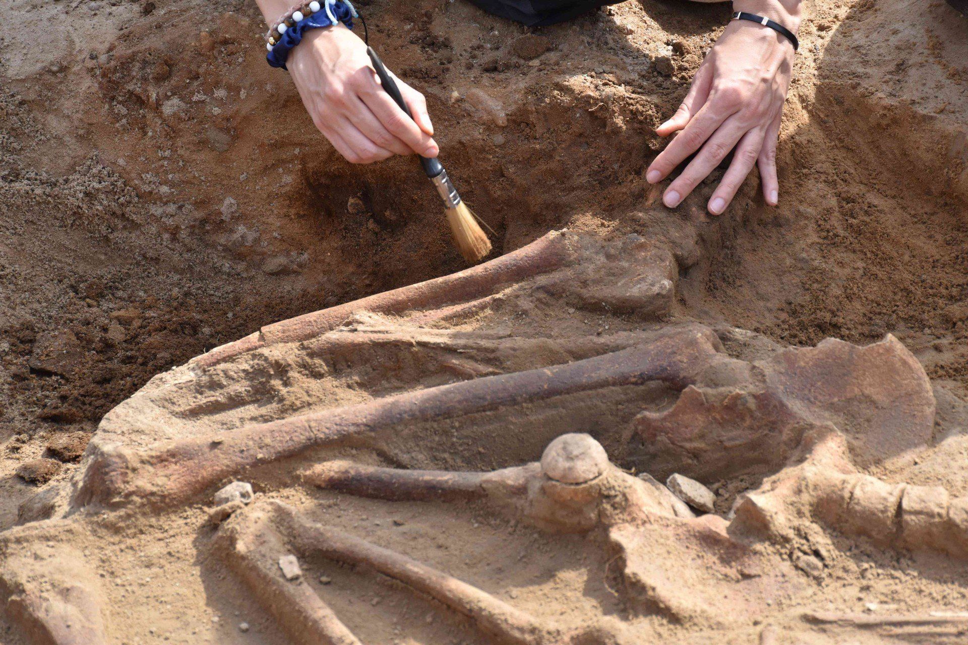 Niecodzienne odkrycie w Orłowie. Zbiorowy pochówek mezolityczny sprzed 8-9 tysięcy lat