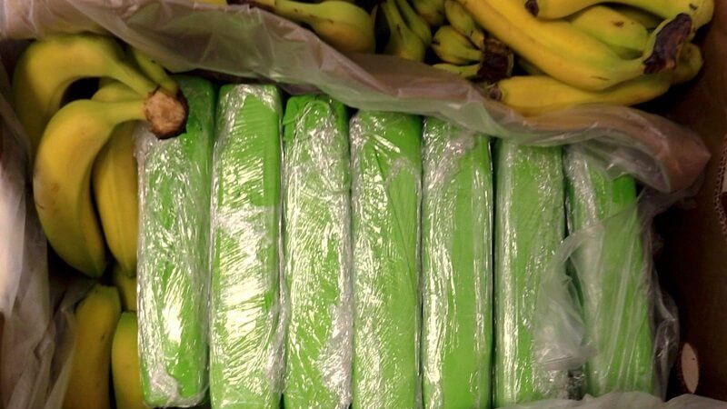 160 kg kokainy w bananach sprzedanych do znanej sieci sklepów