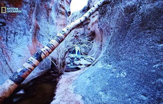 Kanały National Geographic znikną ze znanej platformy cyfrowej