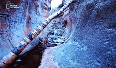 Kanały National Geographic znikną ze znanej platformy cyfrowej