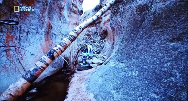 Kanały National Geographic znikną ze znanej platformy cyfrowej