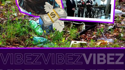 Milionowe kary za umyślne przestępstwo środowiskowe. Sejm sprzeciwia się zaśmiecaniu lasów