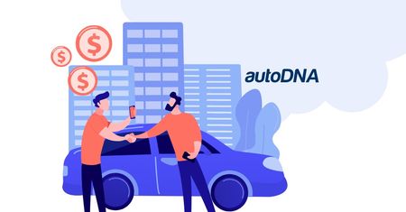 Sprowadzasz auto? Sprawdź numer VIN w 3 prostych krokach i uniknij ryzyka