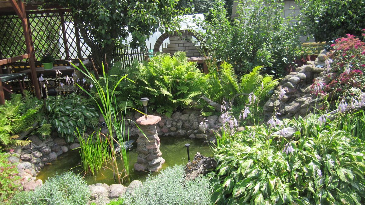 Dopłaty do oczka wodnego. W pierwszym dniu ponad tysiąc wniosków. 