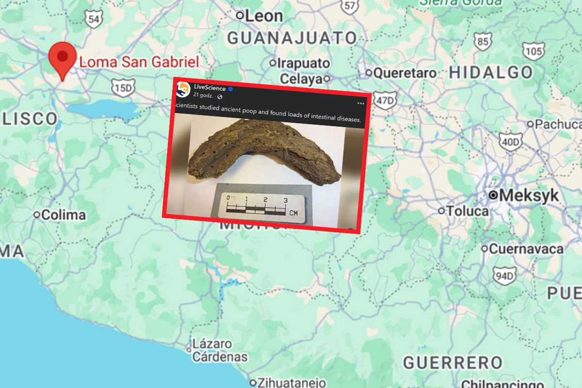 Zbadali odchody sprzed 1300 lat. Odkrycie   zaskoczyło naukowców