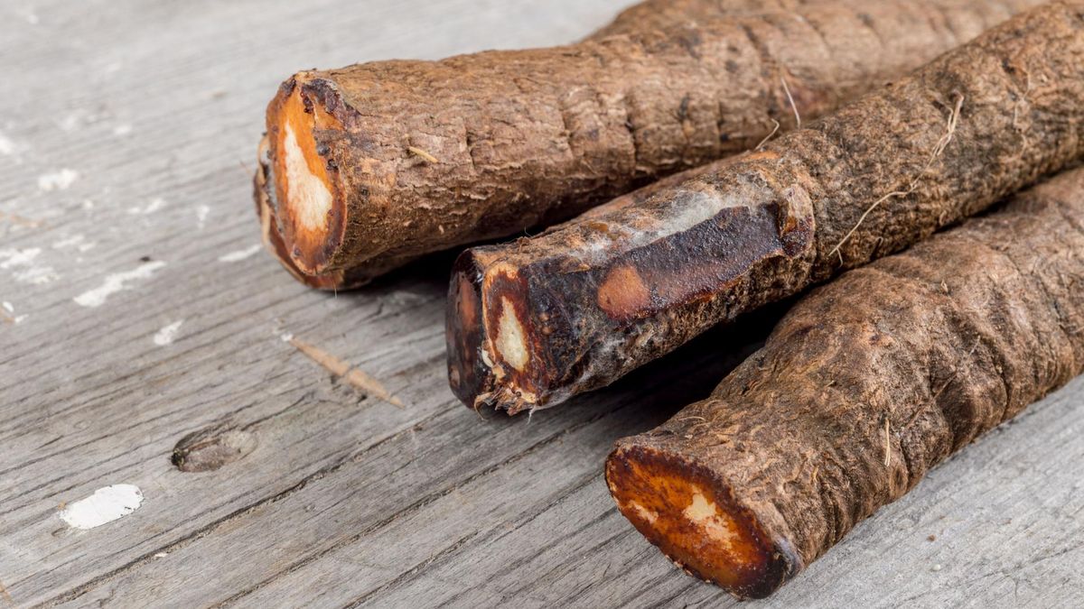 Czarny korzeń polecany jest przede wszystkim cukrzykom.