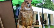 IV Festiwal Przyrody w Lublinie za nami. Dwa dni nauki, sztuki i refleksji nad środowiskiem