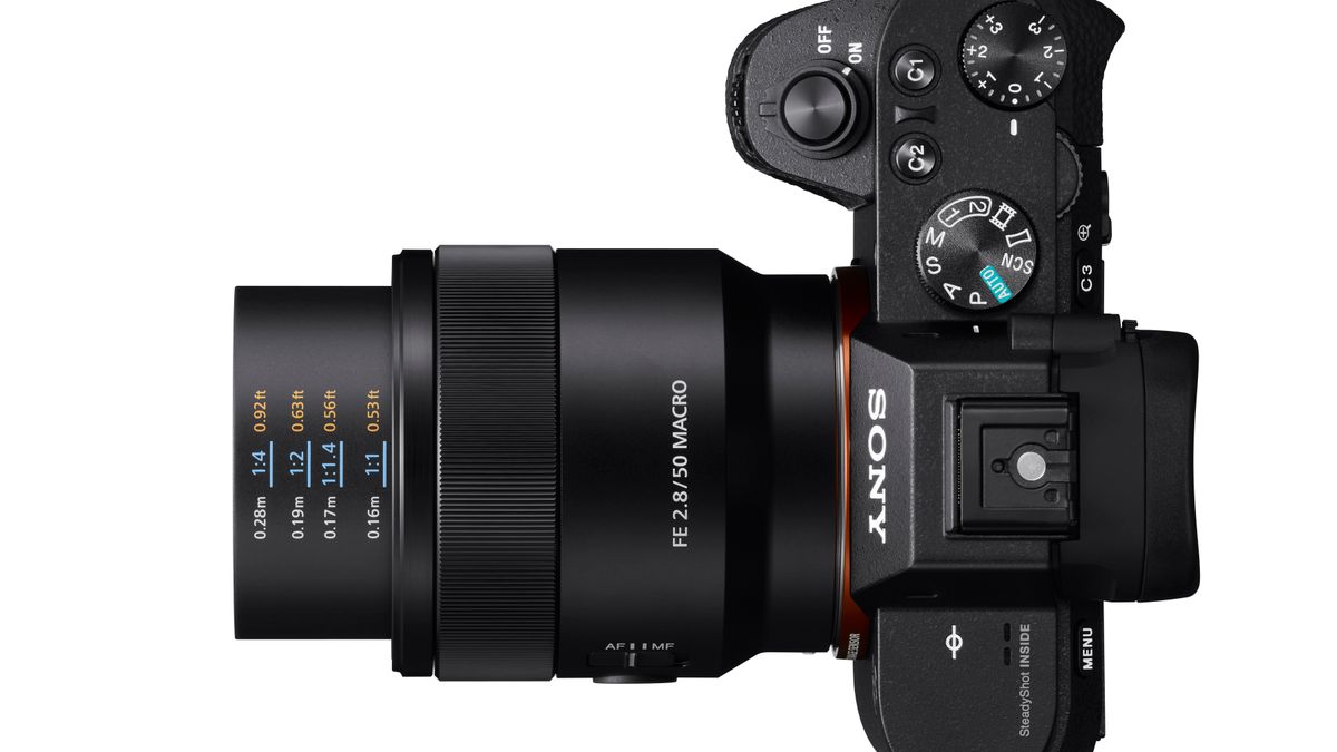 Sony wprowadza FE 50 mm F2,8 Macro - nowy obiektyw do makrofotografii w skali 1:1 1