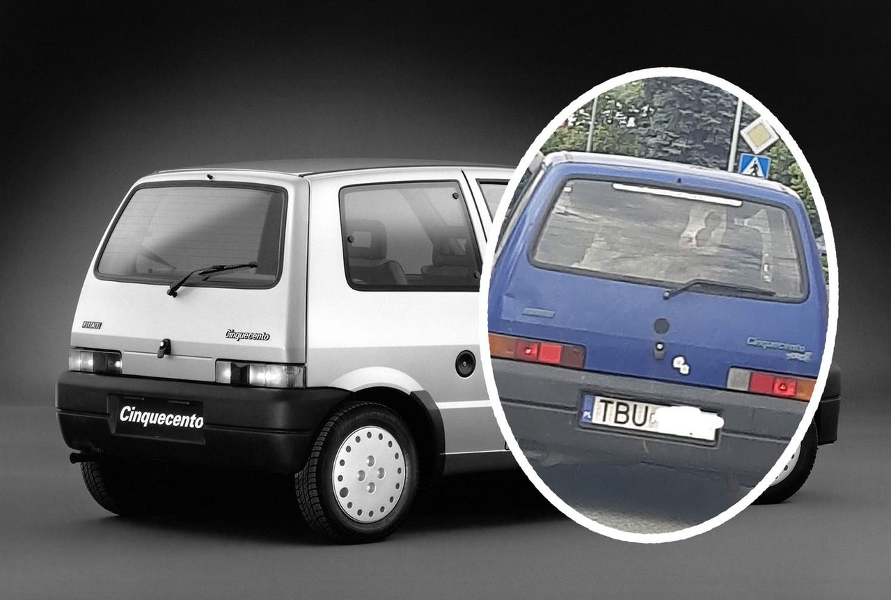 Nietypowy "ładunek" w cinquecento. Takiego widoku kierowcy się nie spodziewali