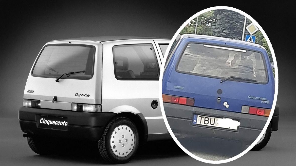 Fiat Cinquecento raczej nie jest pierwszym autem, jakie przychodzi do głowy, gdy chcemy przewieźć cielaka
