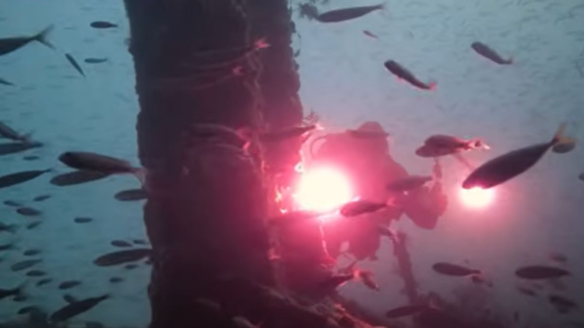 Poszukiwania zaginionej Atlantydy