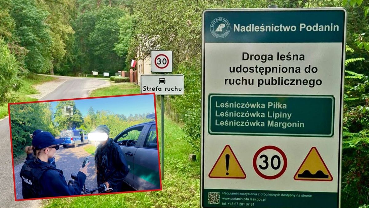 Patrol policji i Straży Leśnej na drodze leśnej pod Chodzieżą.