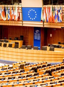 The European Union adopts its first legislation against violence towards women. Why rape is missing?