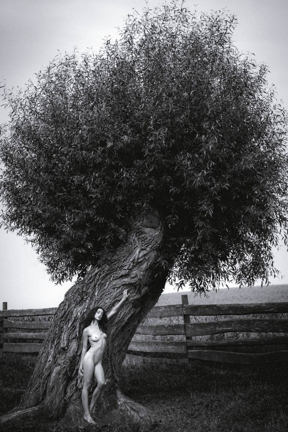 Polacy nagrodzeni w konkursie MonoVisions Photography Awards 2018 25