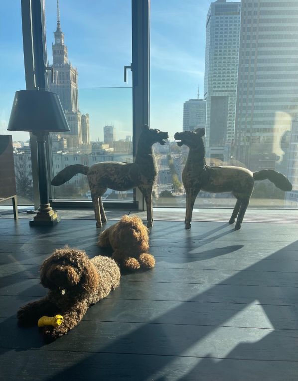 Mieszkanie Kasi Sokołowskiej