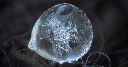 Niesamowite makrofotograficzne studium płatków śniegu Alexeya Kljatova