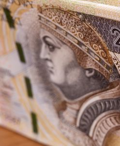 Nabór ma wrócić w marcu. Wiceministra o rządowym programie